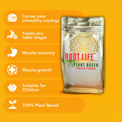 Pumpkin Spice Plant-Based Protein