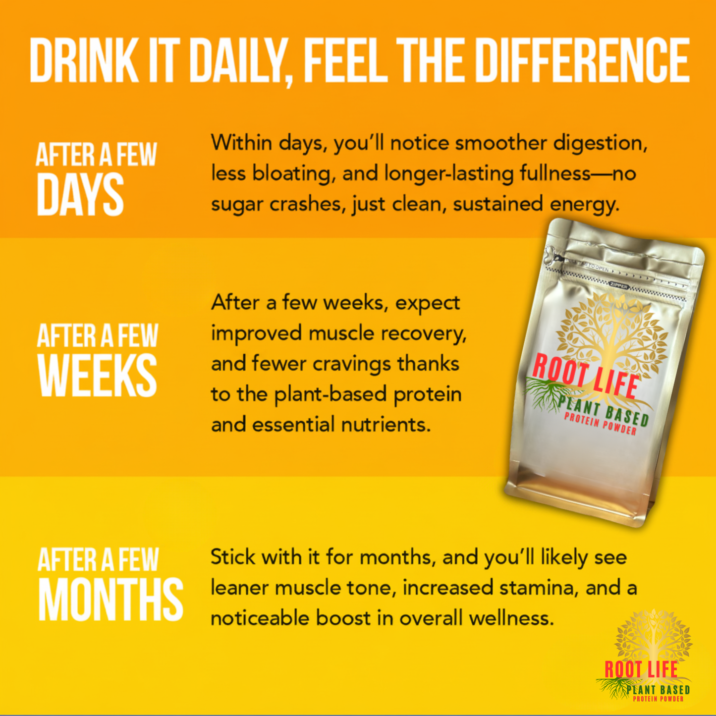 Pumpkin Spice Plant-Based Protein