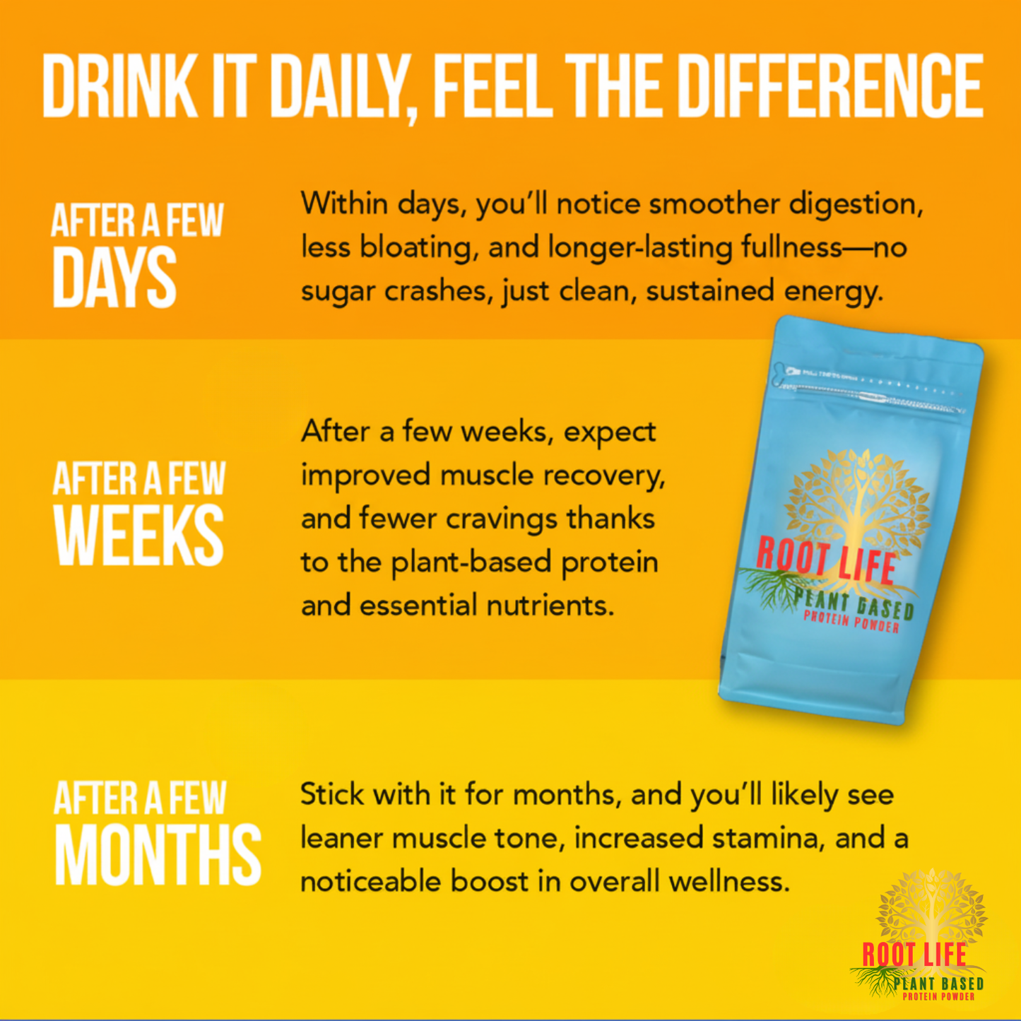 Vanilla Bean Plant-Based Protein